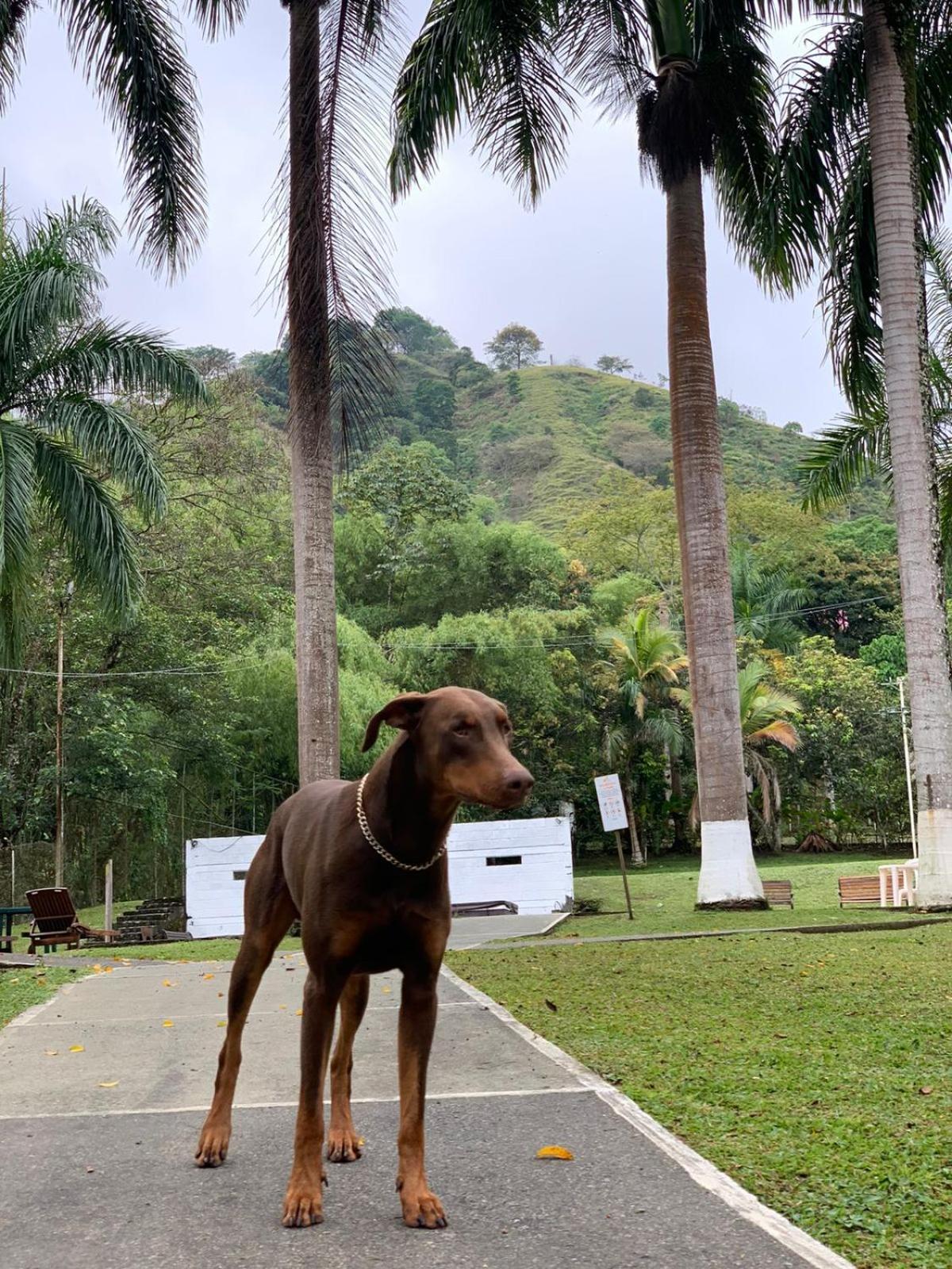 Finca Hotel La Consentida Escondida San Jerónimo Eksteriør billede